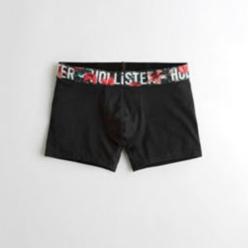 Hollister briefs